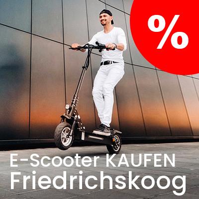 E-Scooter Anbieter in Friedrichskoog, Dithmarschen