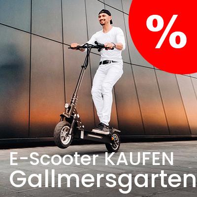 E-Scooter Anbieter in Gallmersgarten