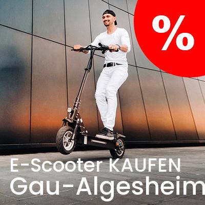 E-Scooter Anbieter in Gau-Algesheim