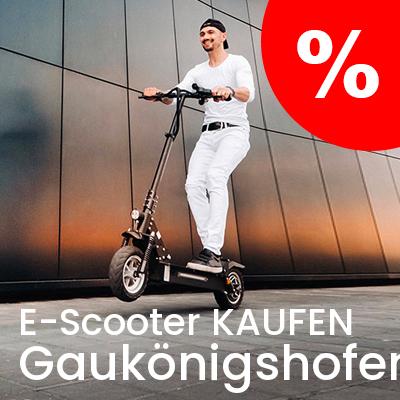 E-Scooter Anbieter in Gaukönigshofen